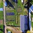 Large solar farm next to vegetation.