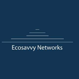 Ecosavvy Solar